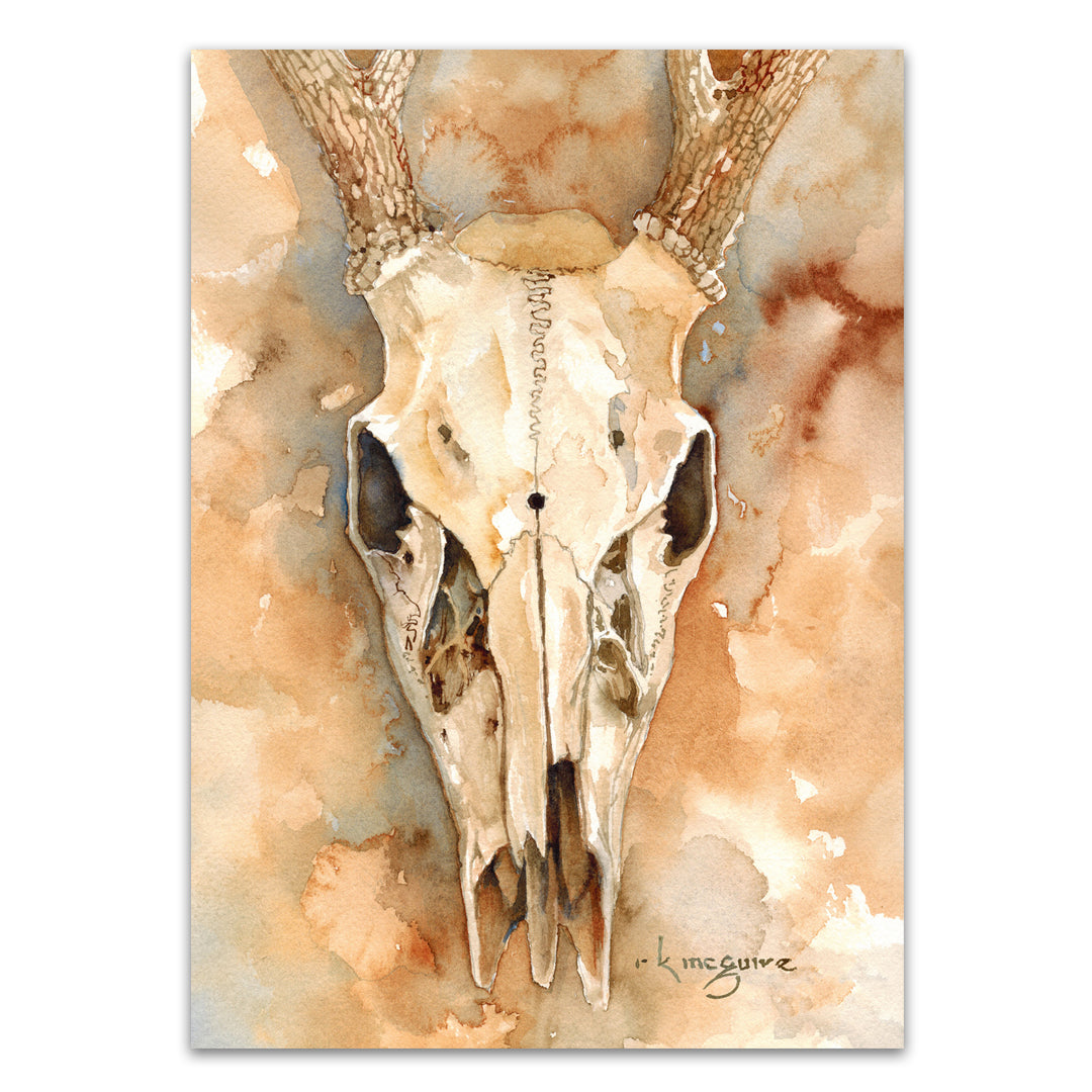Deer Skull
