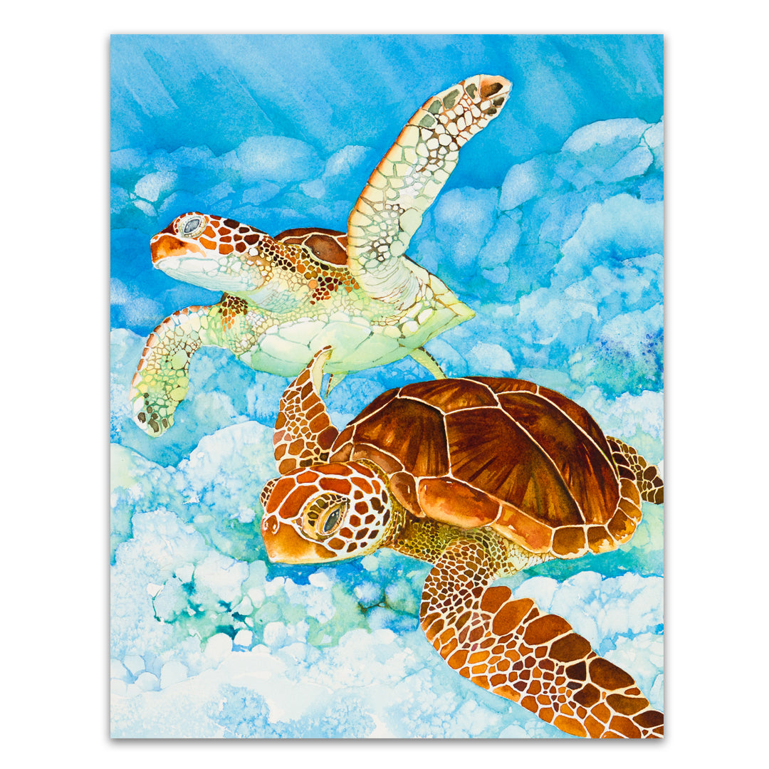Two Turtles