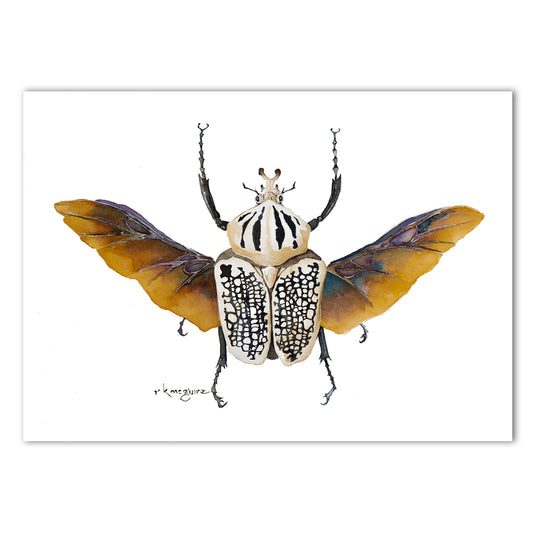 Goliath Beetle