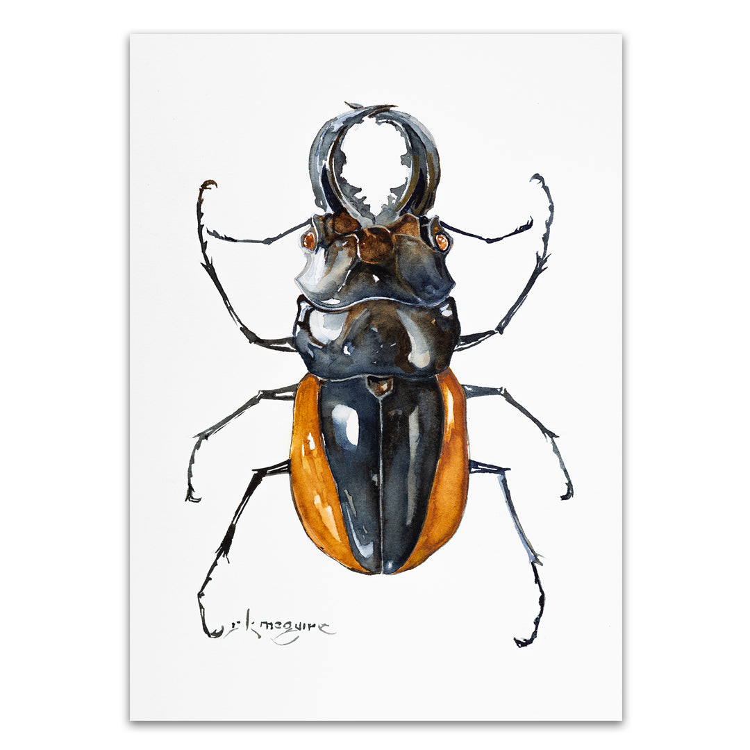 Stag Beetle